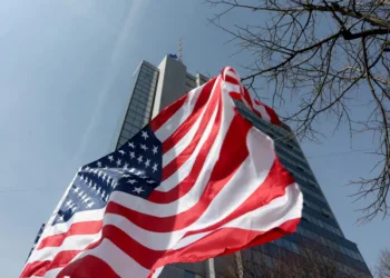 The government insists on coal gasification, it repeats that it is not against American gas