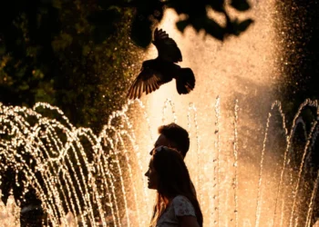 France records around 1,000 additional deaths amid extreme heat wave leading to European records