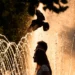 France records around 1,000 additional deaths amid extreme heat wave leading to European records