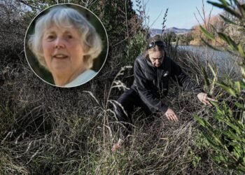 ‘Great result’: Missing elderly Canterbury woman found alive after days-long search