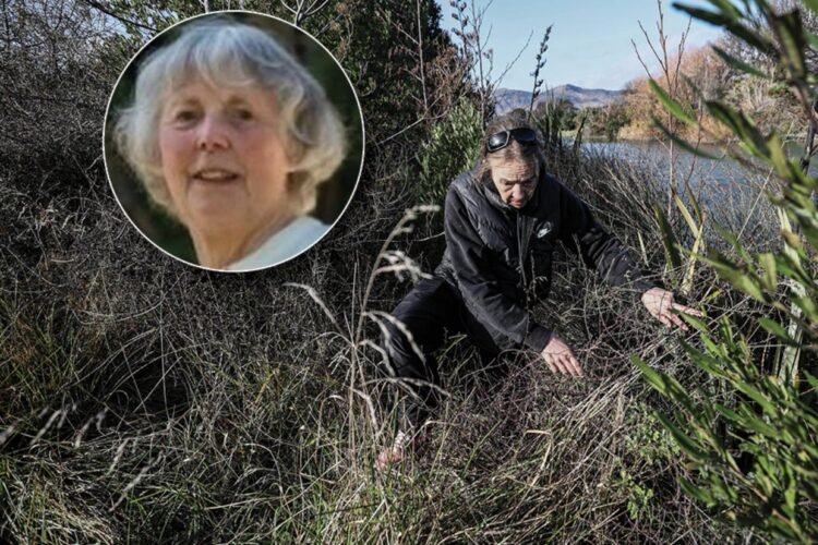 ‘Great result’: Missing elderly Canterbury woman found alive after days-long search