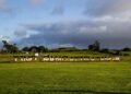 Future of disputed piece of Auckland land still undecided six years after Crown sale