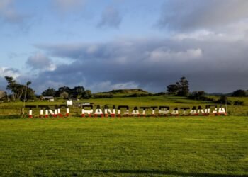 Future of disputed piece of Auckland land still undecided six years after Crown sale