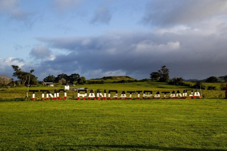 Future of disputed piece of Auckland land still undecided six years after Crown sale