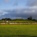Future of disputed piece of Auckland land still undecided six years after Crown sale