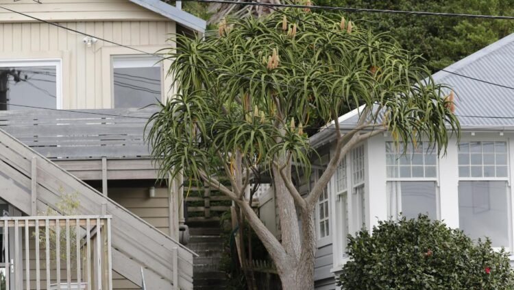 Couple’s court battle over house that encroaches onto their property