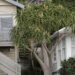 Couple’s court battle over house that encroaches onto their property