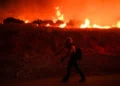 El Nino is here and scientists fear for the Pacific, ‘it can get dire very quickly’