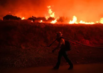 El Nino is here and scientists fear for the Pacific, ‘it can get dire very quickly’