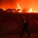 El Nino is here and scientists fear for the Pacific, ‘it can get dire very quickly’
