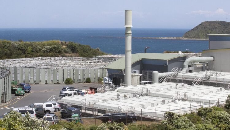 Wellingtonians warned not to swim on south coast after another wastewater discharge from troubled plant