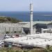 Wellingtonians warned not to swim on south coast after another wastewater discharge from troubled plant