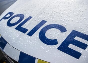 Driver killed in crash into food outlet at shopping complex