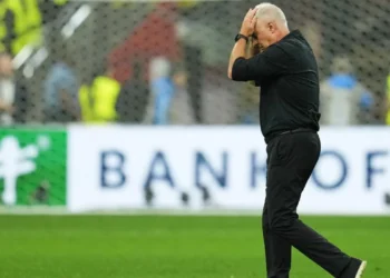 What’s next for the All Whites and their coach after their World Cup failure