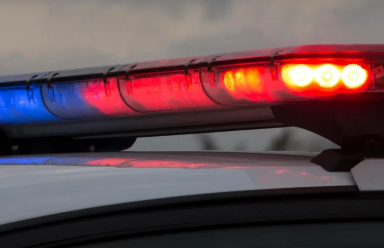 Police appeal for witnesses of fatal crash in Wellsford