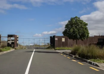 Auckland suburb finally getting a bus service after years of begging