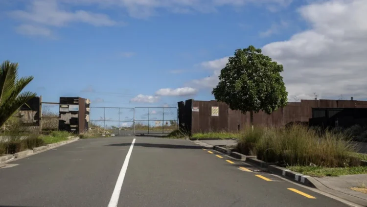 Auckland suburb finally getting a bus service after years of begging