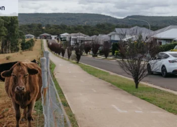 Glenmore Park: The goalposts have shifted for my suburb. Luckily, we can claim the Socceroos’ new goalkeeper