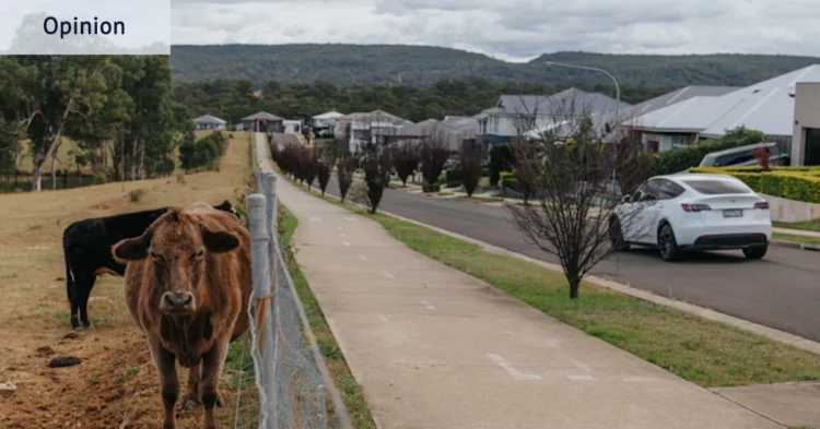 Glenmore Park: The goalposts have shifted for my suburb. Luckily, we can claim the Socceroos’ new goalkeeper
