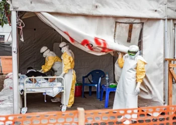 More than 450 cases of Ebola have been confirmed in Congo