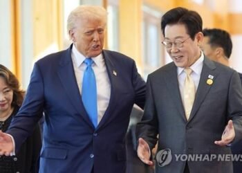 It is too early to say whether S. Korea, U.S. would hold summit during G7 summit: Seoul official