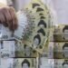 Money supply continues to rise in April on gains in deposits