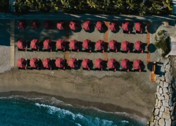 Amor Beach Restaurant: The new all-day seaside destination of Limassol