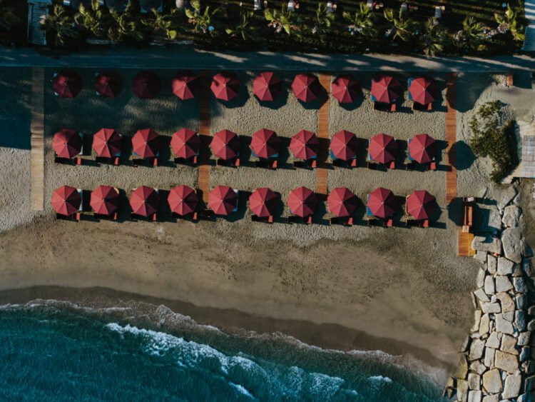 Amor Beach Restaurant: The new all-day seaside destination of Limassol