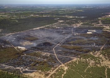 Germany, France and Belgium send help to put out wildfires in NL