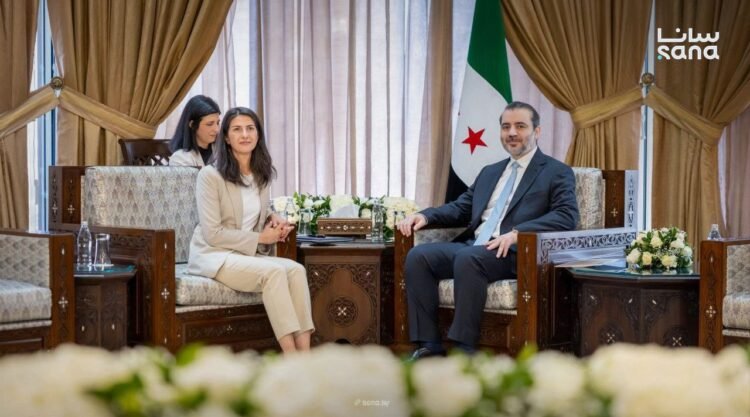 Al-Shaibani,Güler discuss steps to apply outcome of President al-Sharaa visit to Berlin