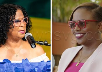 Mark ‘hand-picked’ in 2024 although London was best candidate – Shallow – iWitness News