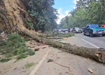 Landslide drags logs at km 24 of the Inter-American Highway; motorist is injured and traffic becomes complicated