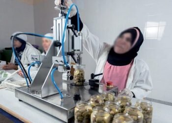 Economic empowerment of women: The “Tahfiz Niswa” program wants to become more efficient – Morocco Today