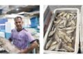 Gulf News | Safi is 4.5 dinars per kilo, and the refrigerator is 180 dinars. Prices of net and shari rise with the start of the hunting season.