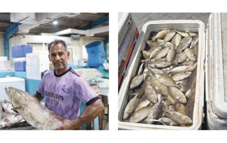 Gulf News | Safi is 4.5 dinars per kilo, and the refrigerator is 180 dinars. Prices of net and shari rise with the start of the hunting season.