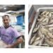 Gulf News | Safi is 4.5 dinars per kilo, and the refrigerator is 180 dinars. Prices of net and shari rise with the start of the hunting season.