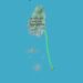 Mystery deepens in SVG over small aircraft that disappeared at the weekend