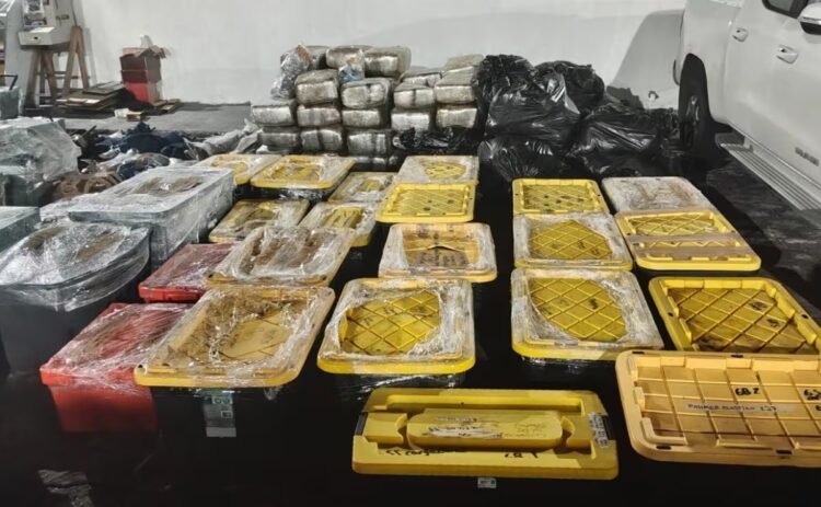 Mega arsenal secured in Tierra Blanca, Veracruz