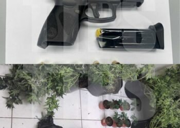 Six arrested as police seize firearms and drugs