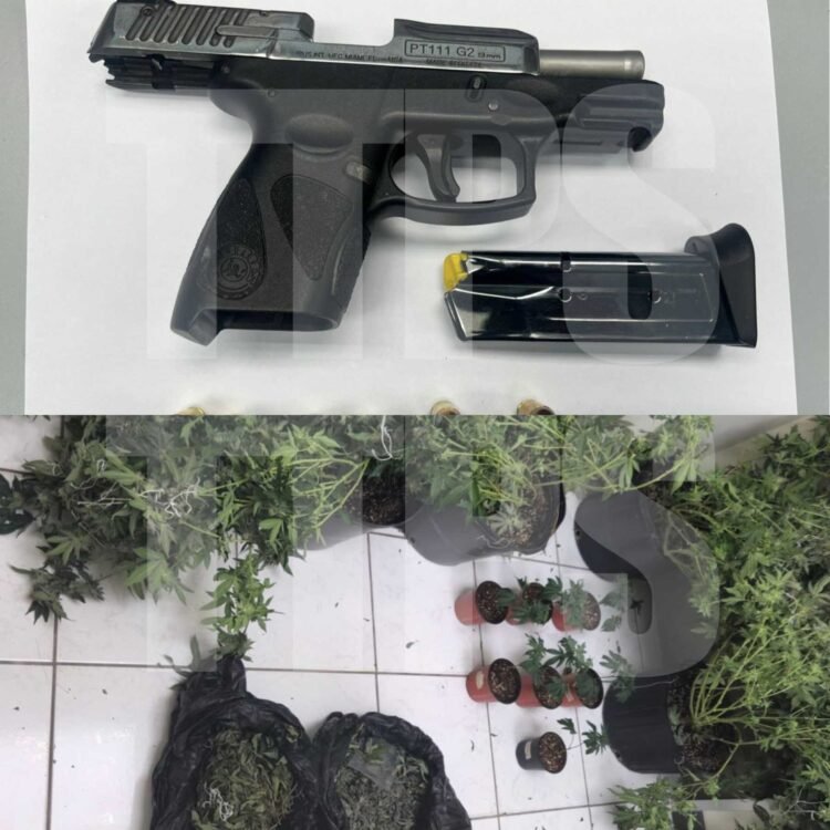 Six arrested as police seize firearms and drugs