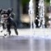 Tageblatt.lu | Weather | Up to 36 degrees in Luxembourg: ALVA gives important tips for protecting pets