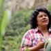 Berta Cáceres: how European funds financed her murder
