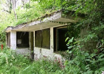Tageblatt.lu | Lost Place | When a wolf bit a child: The story of the former zoo in Senningen
