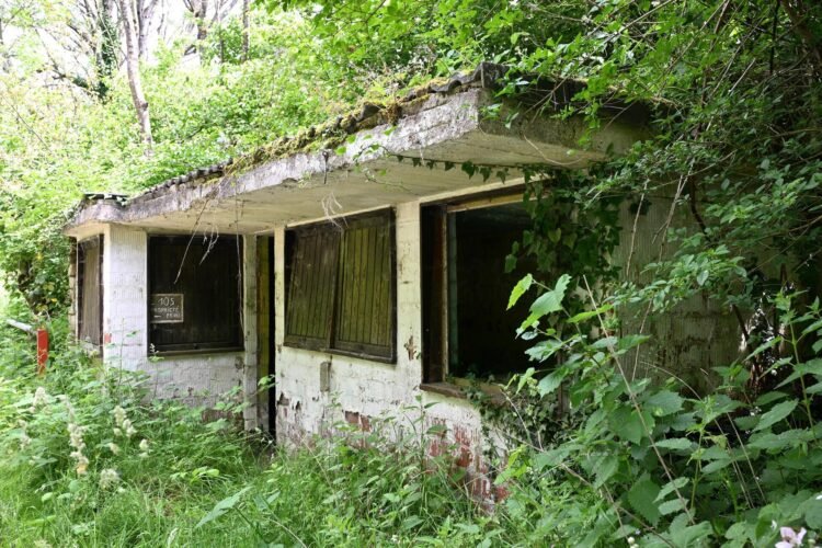 Tageblatt.lu | Lost Place | When a wolf bit a child: The story of the former zoo in Senningen