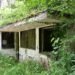 Tageblatt.lu | Lost Place | When a wolf bit a child: The story of the former zoo in Senningen