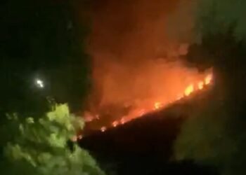 VIDEO: Bush fire at Tarreau
