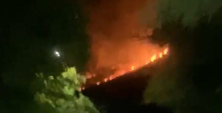 VIDEO: Bush fire at Tarreau
