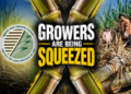 Council raises red flag on grower returns