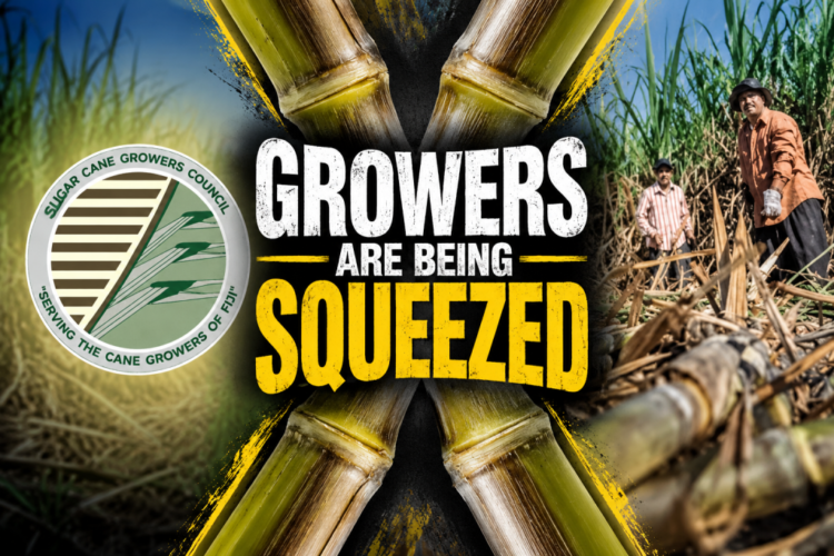 Council raises red flag on grower returns