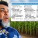Cane price not enough – farmer
